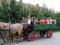 2010-07-06_A_SZIV_-_Szentjanosbogar_Lelkinapok_2010_-_Csongrad_09